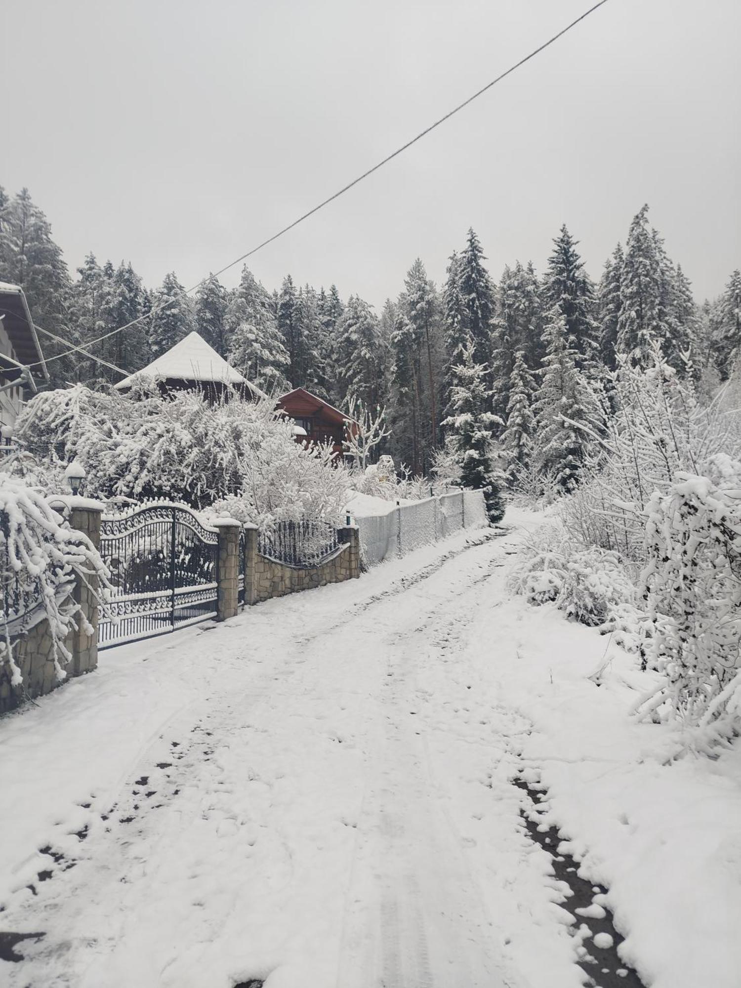 Лісова Казка Villa Iaremcea Exterior foto