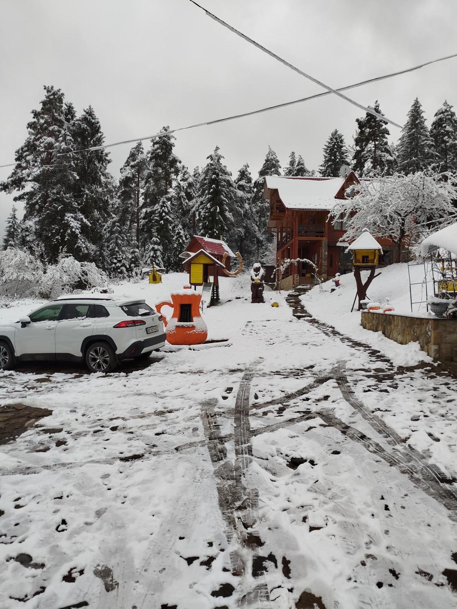Лісова Казка Villa Iaremcea Cameră foto